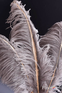 Strauss mit feinem goldenen Strahl - 30-40 cm - grau natur